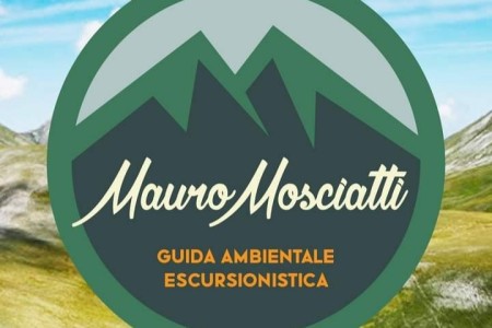 logo Mauro Mosciatelli